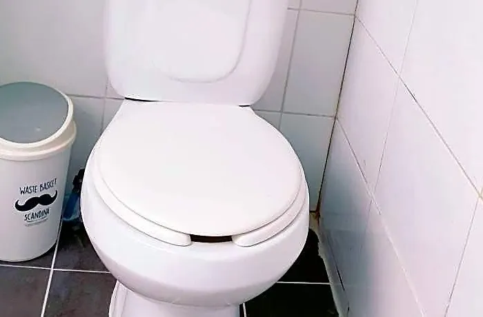 White Story